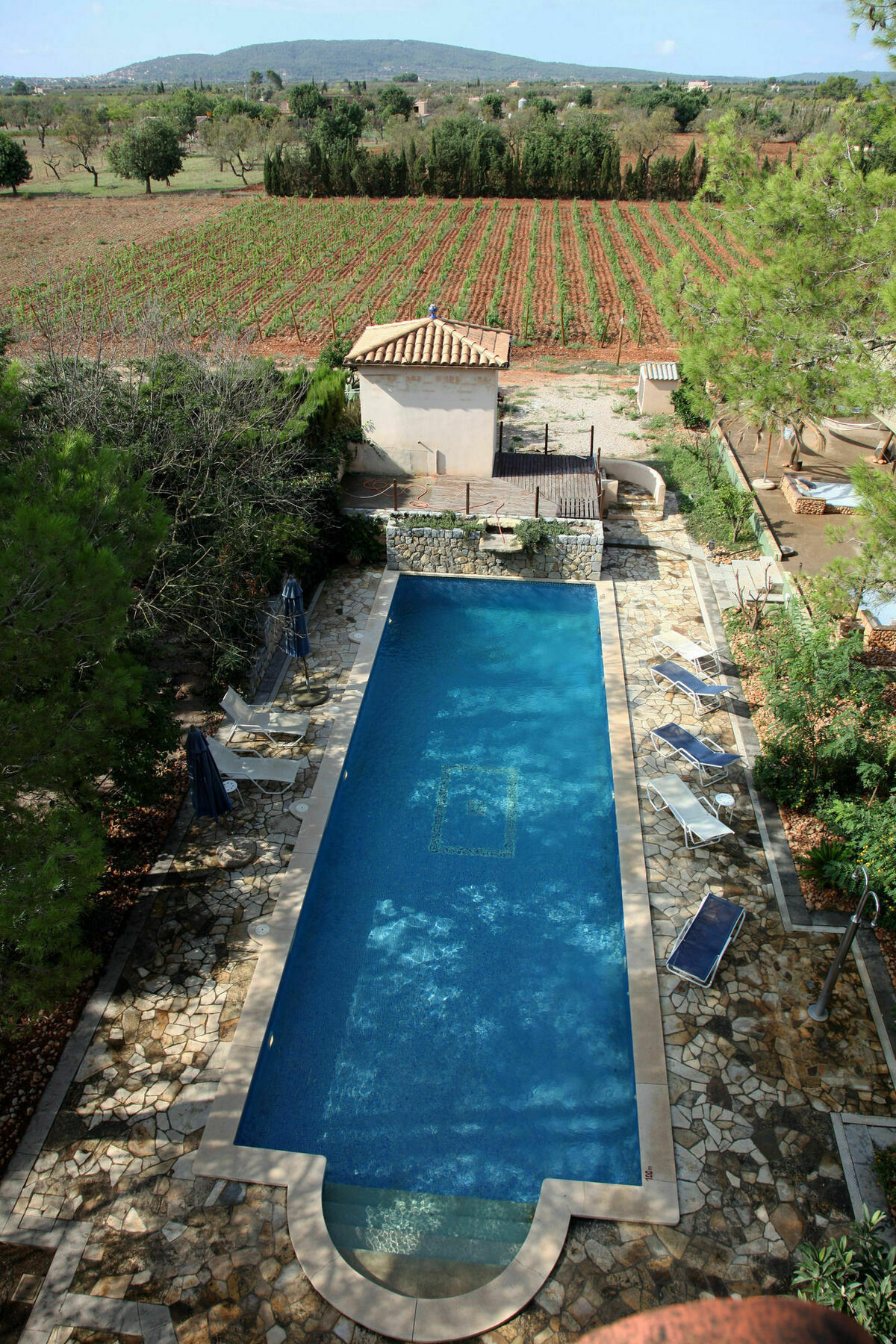 Weingut & Landhotel Can Davero Binisalem Ngoại thất bức ảnh