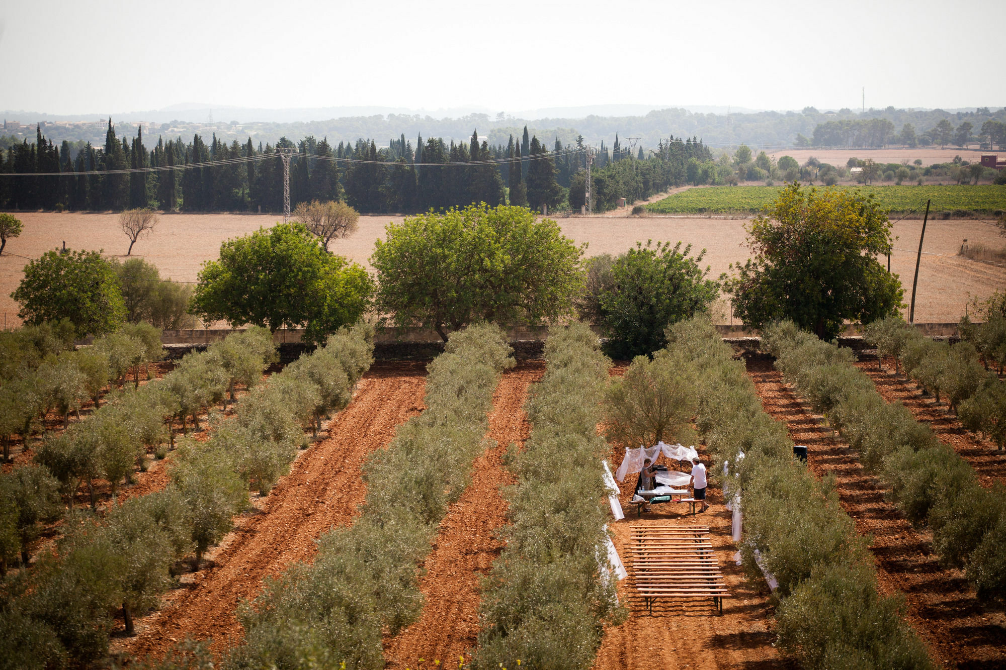 Weingut & Landhotel Can Davero Binisalem Ngoại thất bức ảnh